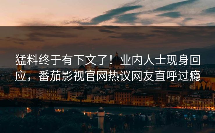 猛料终于有下文了！业内人士现身回应，番茄影视官网热议网友直呼过瘾