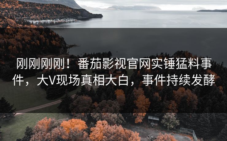 刚刚刚刚！番茄影视官网实锤猛料事件，大V现场真相大白，事件持续发酵