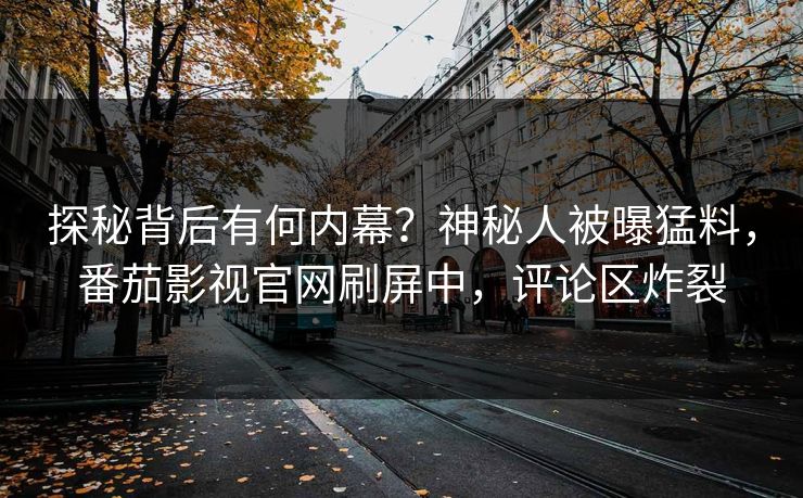 探秘背后有何内幕？神秘人被曝猛料，番茄影视官网刷屏中，评论区炸裂