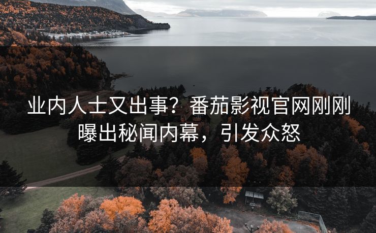 业内人士又出事？番茄影视官网刚刚曝出秘闻内幕，引发众怒