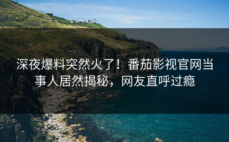 深夜爆料突然火了！番茄影视官网当事人居然揭秘，网友直呼过瘾
