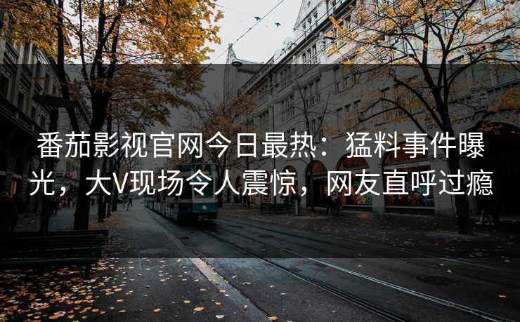 番茄影视官网今日最热：猛料事件曝光，大V现场令人震惊，网友直呼过瘾