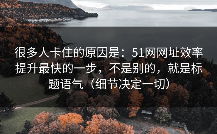 很多人卡住的原因是：51网网址效率提升最快的一步，不是别的，就是标题语气（细节决定一切）